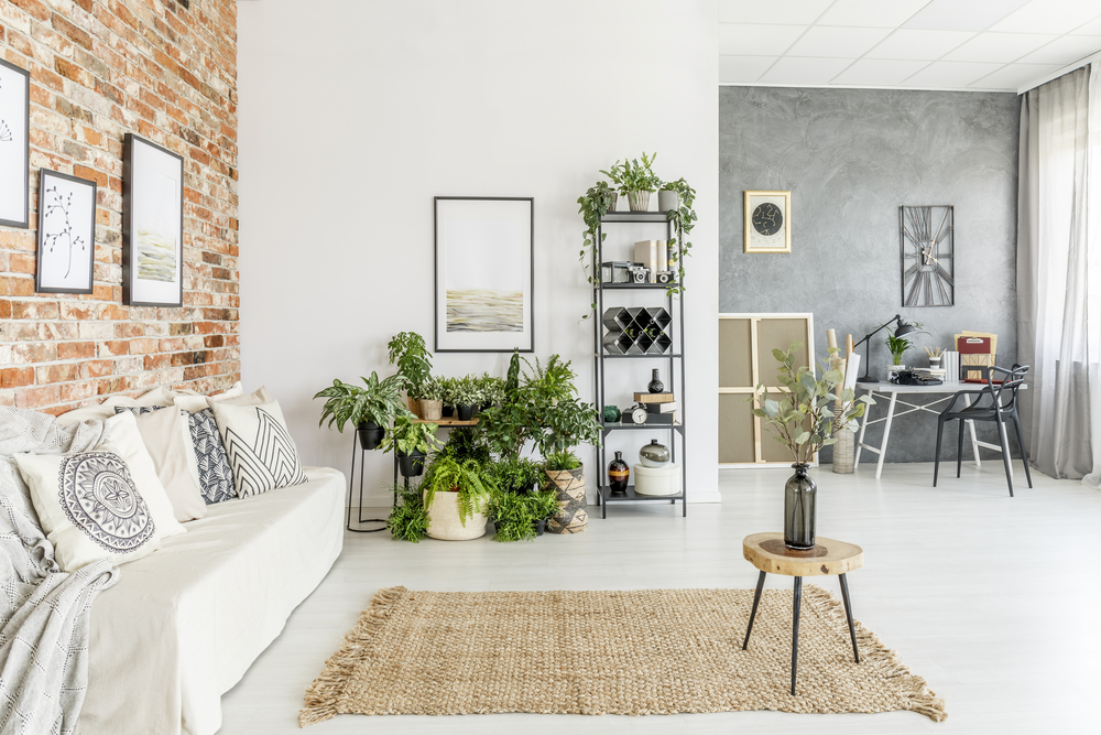 living-room-indoor-plants | Windows Floors & Decor
